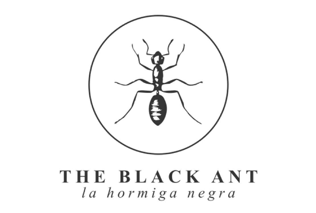 The Black Ant Case Study